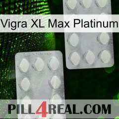 Vigra Xl Max Platinum 17